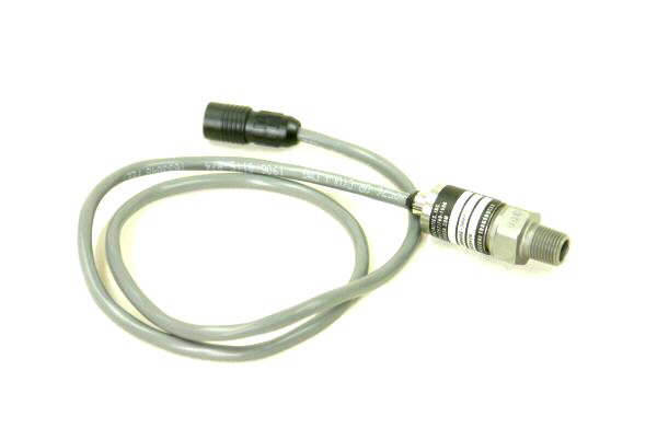 P_sen2_600pix.jpg (44632 bytes)