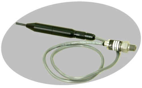 P_sen_500pix.jpg (43715 bytes)