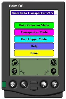 palm.jpg (19816 bytes)